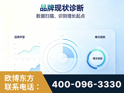讷河-品牌现状诊断