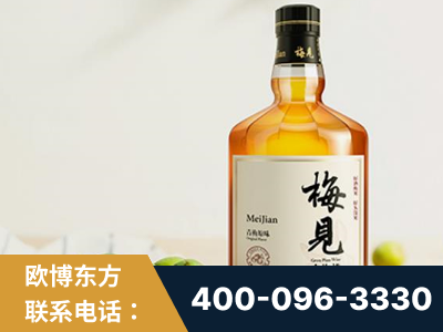 讷河-梅见青梅酒